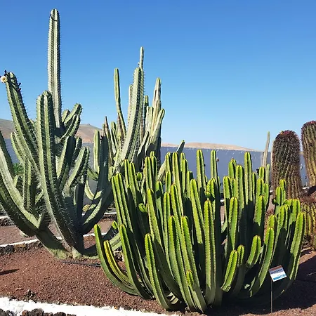 Daire Marvillafuerte - Air-conditioned Swimming Pool & Private Jacuzzi Villaverde (Fuerteventura)